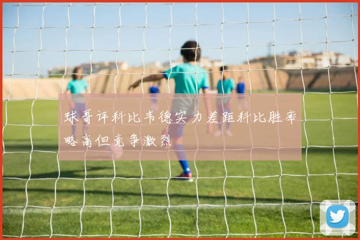球哥评科比韦德实力差距科比胜率略高但竞争激烈